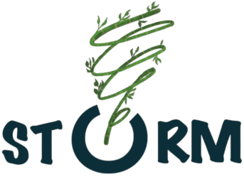 STORM Conseil